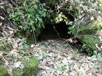 nte Cicirello-10042012 049